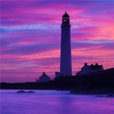 澳门王中王100%的资料下载手机版