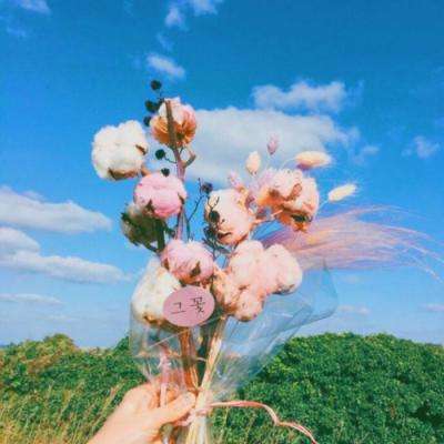 云开平台app最新版本入口