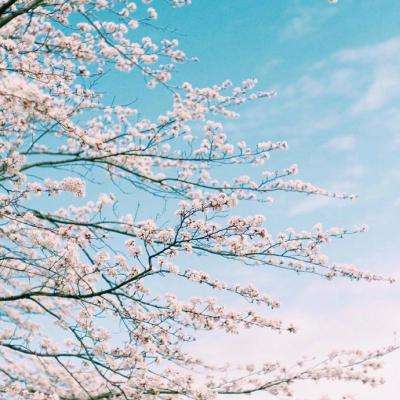 万博max体育注册